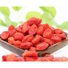 Medlar Health Food Himalayan Goji Berry